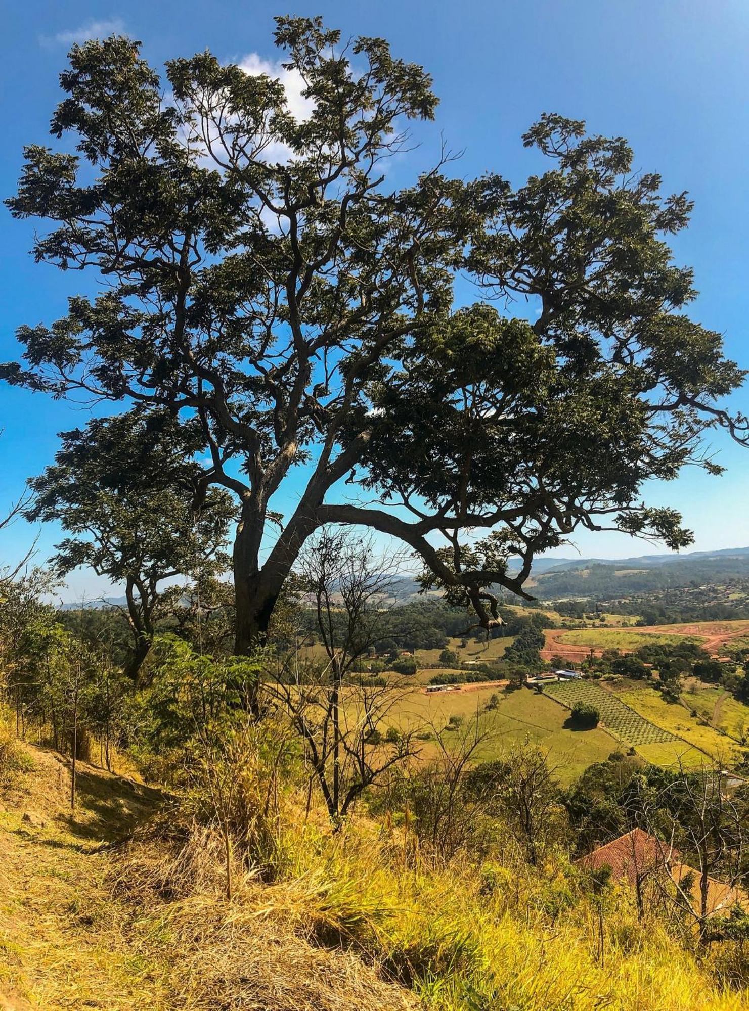 Casa De Campo Araxa Na Montanha Com Piscina Piracaia Bagian luar foto